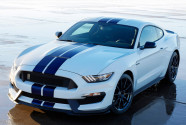 'Speed' Mustang