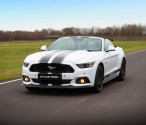 'Speed' Mustang
