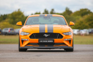 Mustang GT