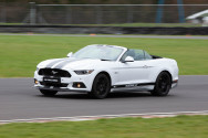 'Speed' Mustang