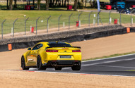 Camaro ZL1 'Bumblebee'