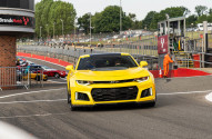 Camaro ZL1 'Bumblebee'