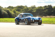 Shelby Cobra