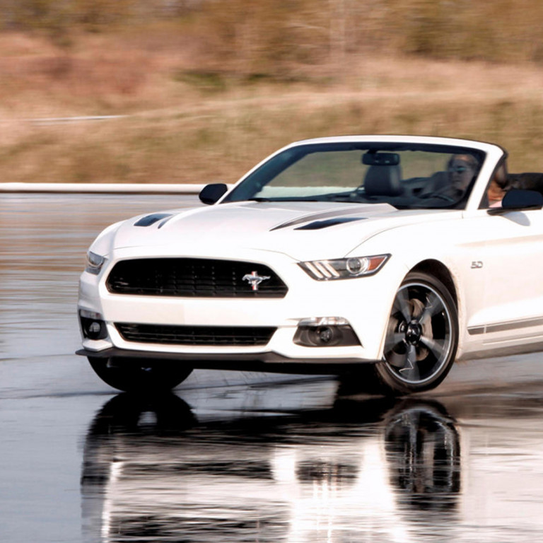 'Speed' Mustang